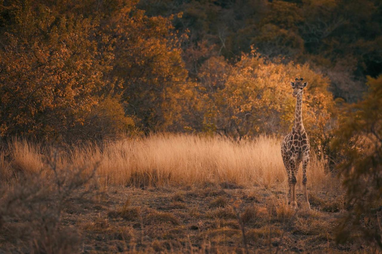 Willa Leshiba Wilderness Louis Trichardt Zewnętrze zdjęcie
