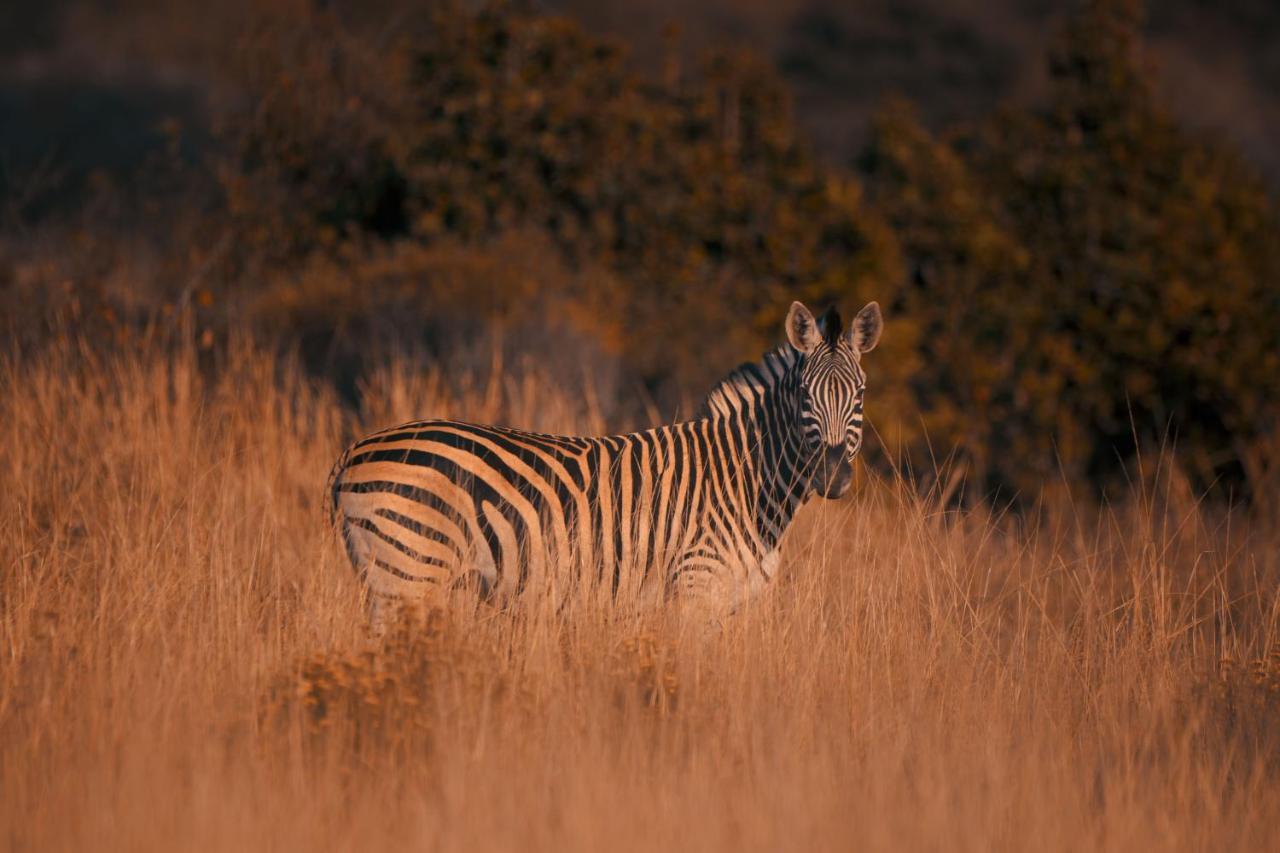 Willa Leshiba Wilderness Louis Trichardt Zewnętrze zdjęcie